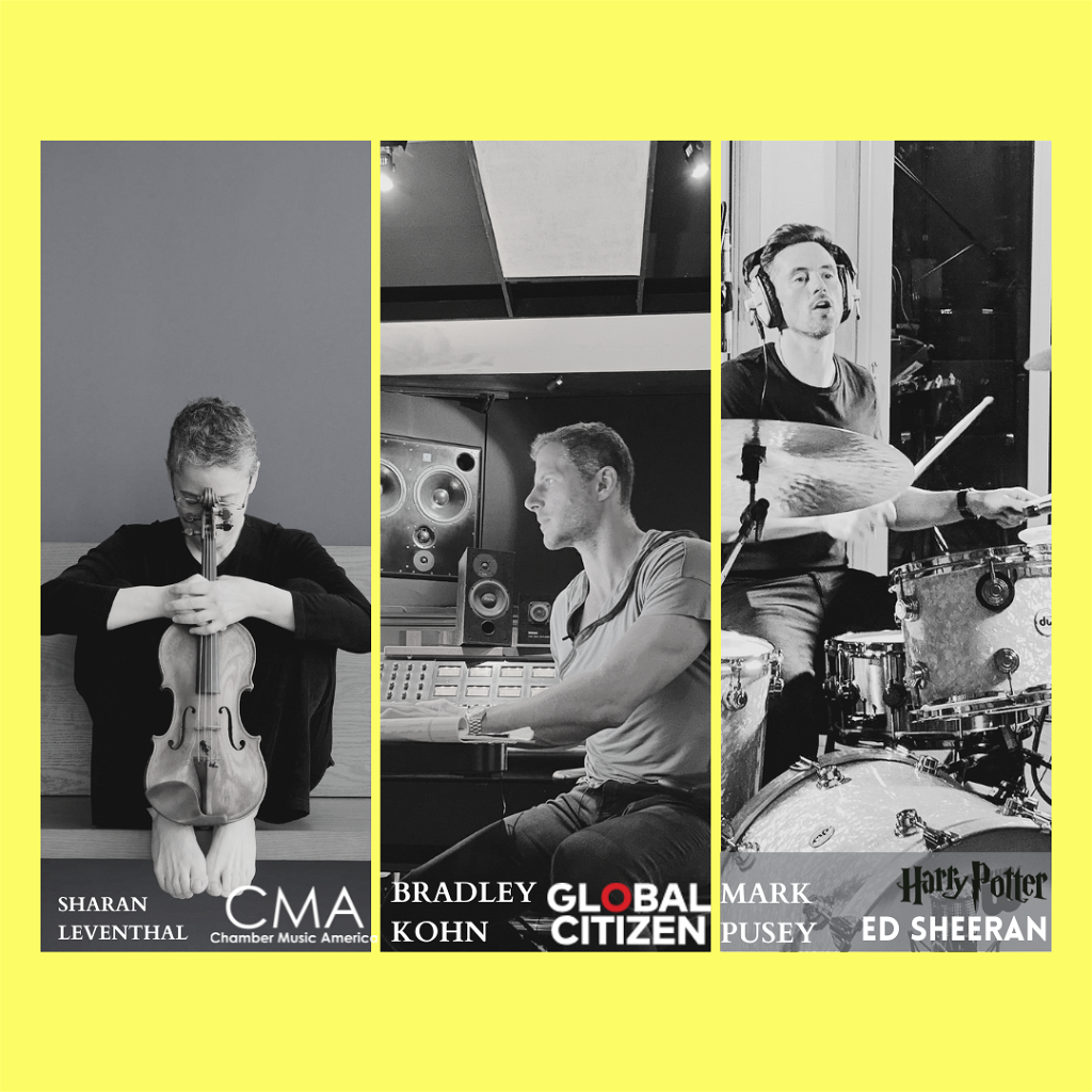 PIVODIO Experts: Sharan Leventhal, grants from Chamber Music America, NEA, Aaron Copland Fund; Bradley Kohn, co-producers for the 2012 Global Citizen Festival; Mark Pusey, played on soundtracks and fixed musicians for Harry Potter